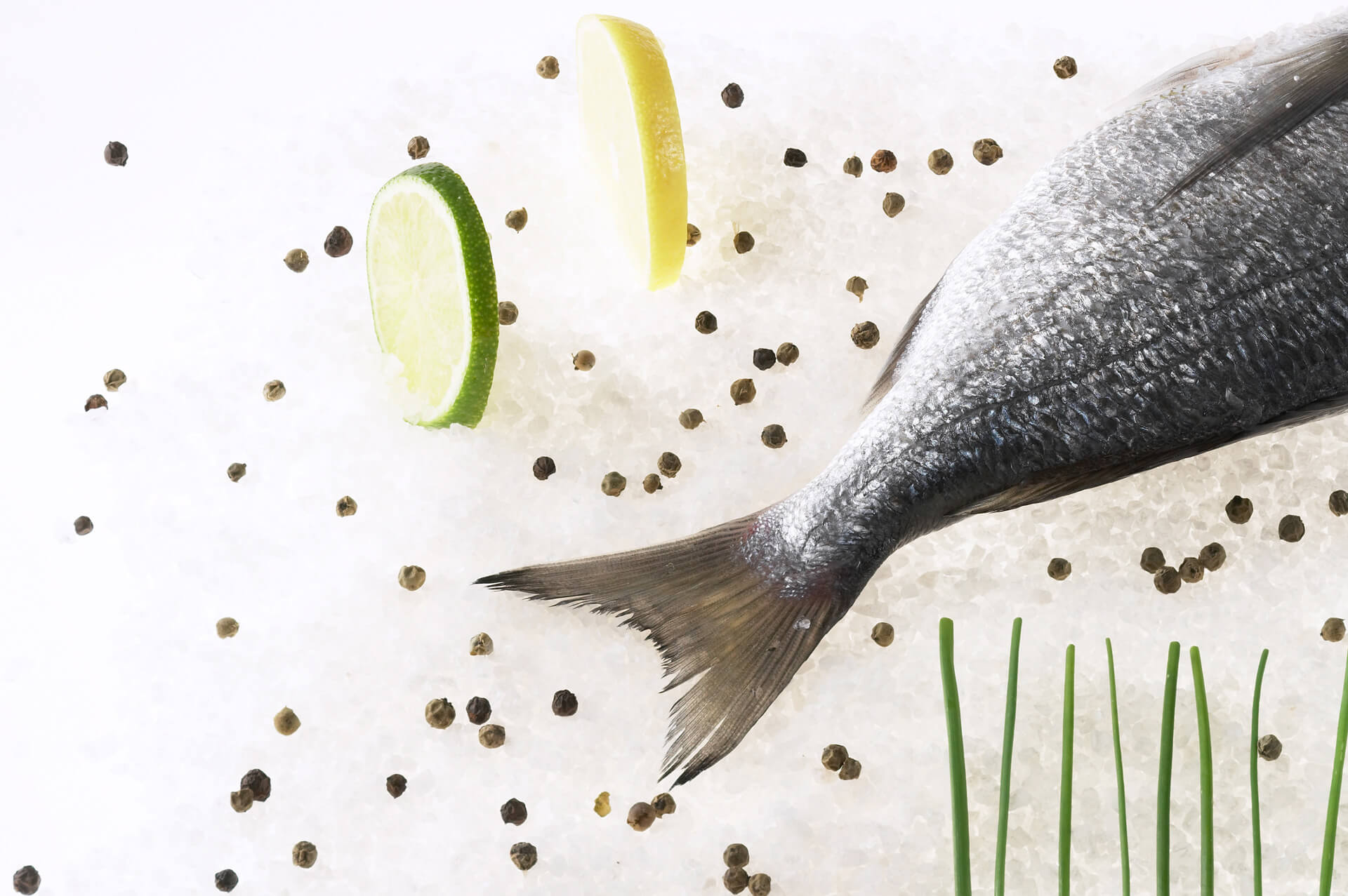 Fischangebot, Catering fleur de cuisine, Firma Wilken Gourmet